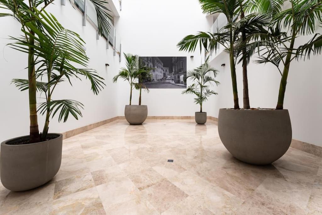 Apartmán Premium Flat In Malaga Center With Free Parking Exteriér fotografie